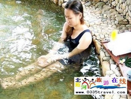 南戴河小魚(yú)溫泉景區(qū)